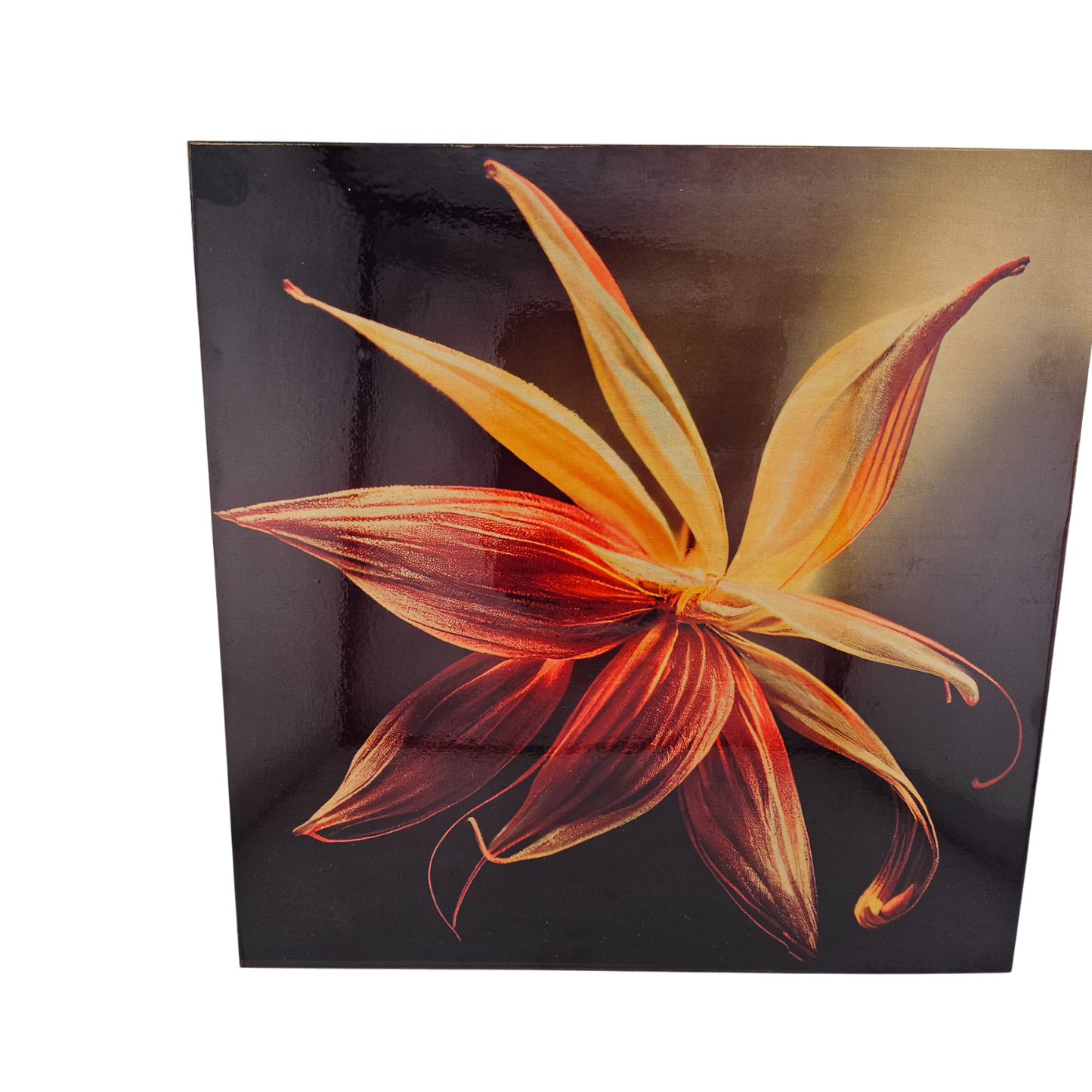 Wooden Photo Panel POW