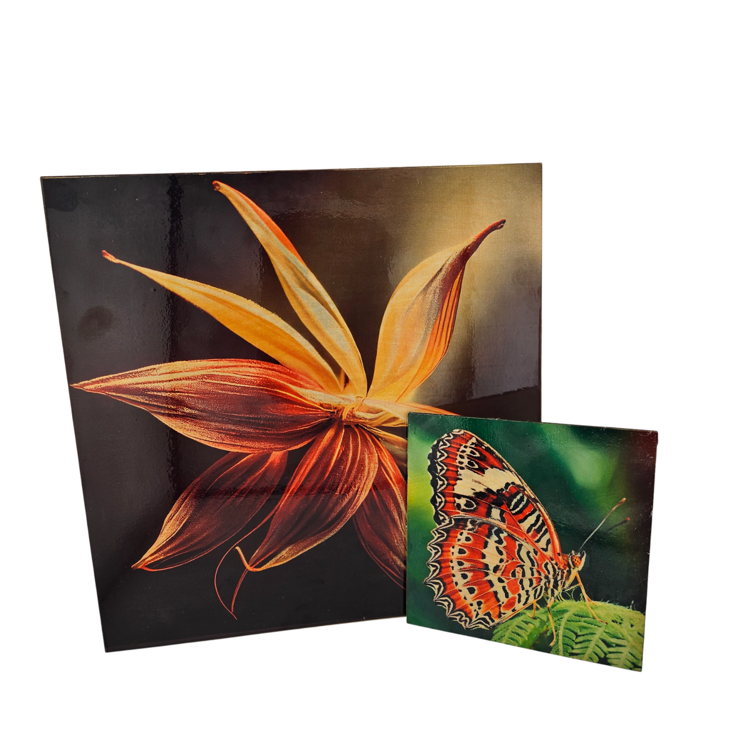 Wooden Photo Panel POW